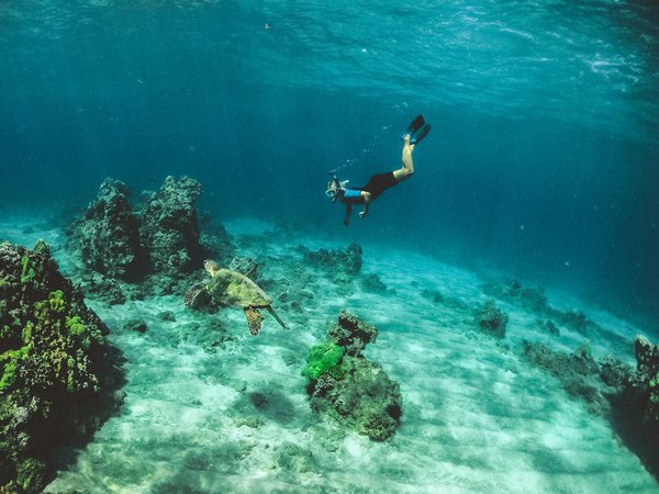 Où trouver les meilleures plages pour faire du snorkeling en Martinique : sites et périodes idéales ?